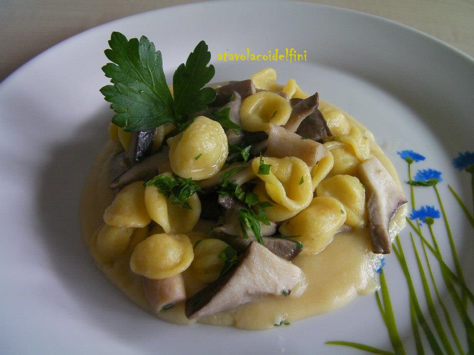 Orecchiette allo zafferano con funghi cardoncelli su purea di fave secche