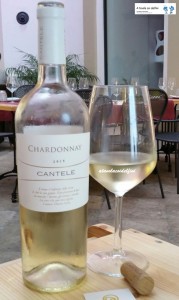 "Chardonnay" Igt 2015 - Cantele