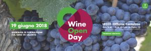 Wine Open Day - Lecce