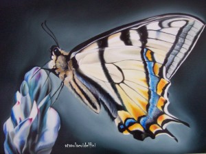 Farfalla - olio su tela (50x70)