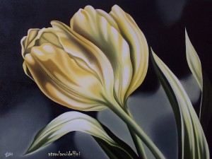 Tulipani - olio su tela (50x70)