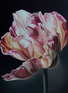 Tulipano - olio su tela (50x70)
