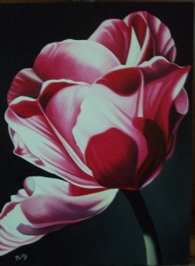 Tulipano - olio su tela (40x50)