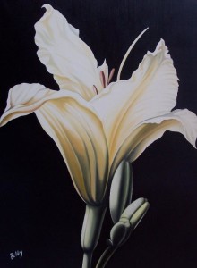 Iris - olio su tela (60x80)