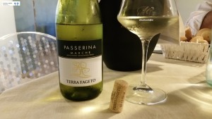 Passerina Marche IGT 2017 Torre Fageto 