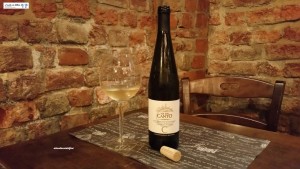 Pinot NeroDoc 2016 - Montù Beccaria 