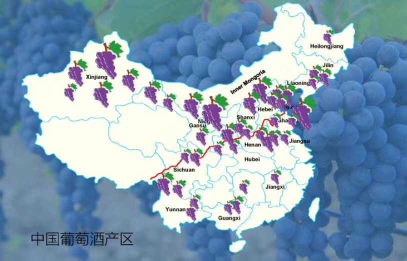 La Via del vino Cinese