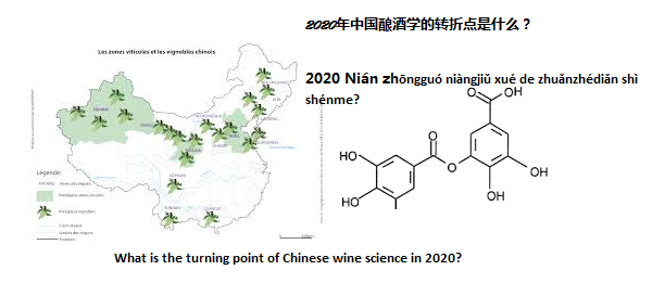 Il vino naturale in Cina